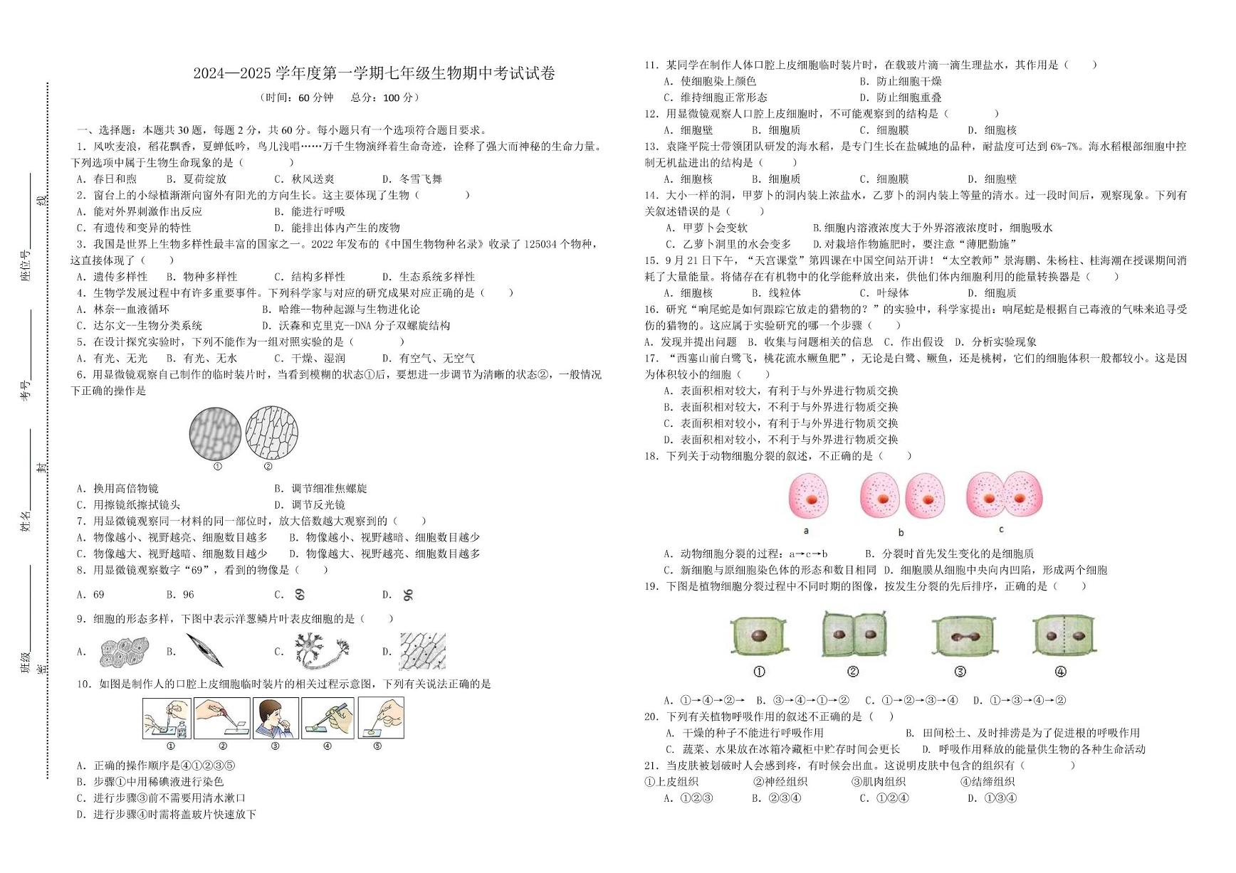 广东省惠州市惠阳区某校2024-2025学年七年级上学期期中考试生物试题