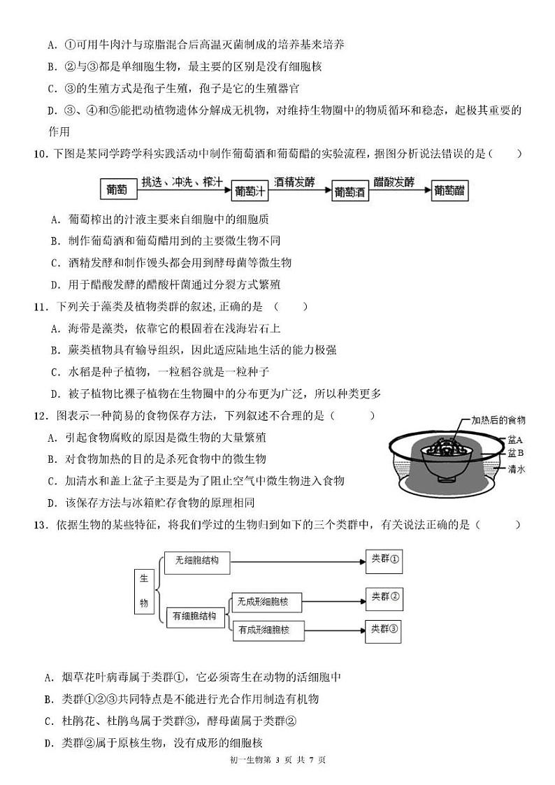 7.2024年12月期末模拟生物试题第3页