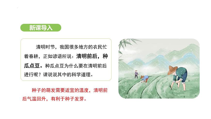 3.1.1 種子的萌發(fā) 課件-2024-2025學(xué)年人教版生物七年級下冊第3頁