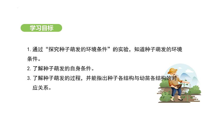 3.1.1 種子的萌發(fā) 課件-2024-2025學(xué)年人教版生物七年級下冊第4頁