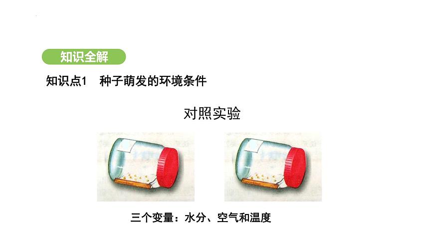 3.1.1 種子的萌發(fā) 課件-2024-2025學(xué)年人教版生物七年級下冊第8頁