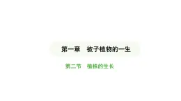 3.1.2 植株的生长 课件-2024-2025学年人教版(2024)生物七年级下册