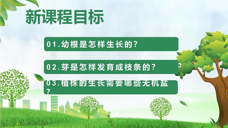 3.1.2 植株的生长(课件)-2024-2025学年七年级生物下册(人教版2024)第2页