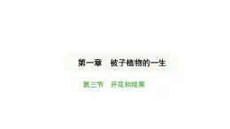 3.1.3 开花和结果 课件-2024-2025学年人教版(2024)生物七年级下册