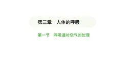 4.3.1 呼吸道对空气的处理 课件-2024-2025学年人教版(2024)生物七年级下册