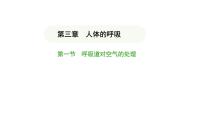 生物人教版(2024)第一节 呼吸道对空气的处理图文ppt课件