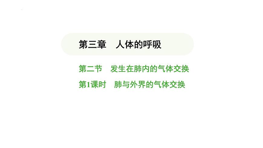 4.3.2 發(fā)生在肺內(nèi)的氣體交換（第1課時） 課件-2024-2025學(xué)年人教版(2024)生物七年級下冊第1頁