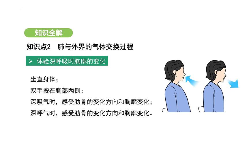 4.3.2 發(fā)生在肺內(nèi)的氣體交換（第1課時） 課件-2024-2025學(xué)年人教版(2024)生物七年級下冊第5頁