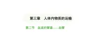 初中生物人教版(2024)七年级下册(2024)第二节 血流的管道 —— 血管教课内容ppt课件