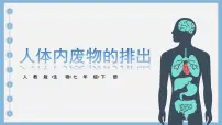 人教版（2024）七年级下册第五章 人体内废物的排出教课ppt课件