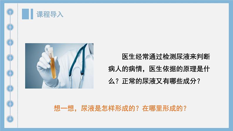 4.5 人体内废物的排出 课件-2024-2025学年人教版生物七年级下册第2页