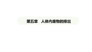 初中生物人教版（2024）七年级下册第五章 人体内废物的排出教学课件ppt