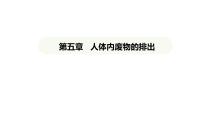 初中生物人教版（2024）七年級下冊第五章 人體內(nèi)廢物的排出教學(xué)課件ppt