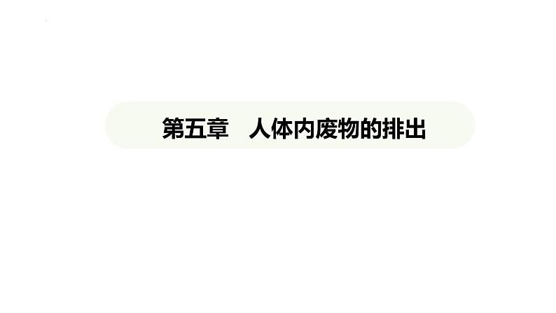 第五章人体内废物的排出 课件-2024-2025学年人教版(2024)生物七年级下册第1页