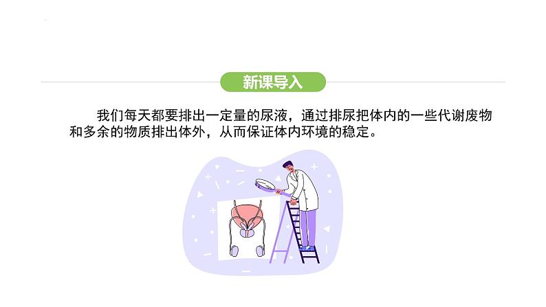 第五章人体内废物的排出 课件-2024-2025学年人教版(2024)生物七年级下册第2页