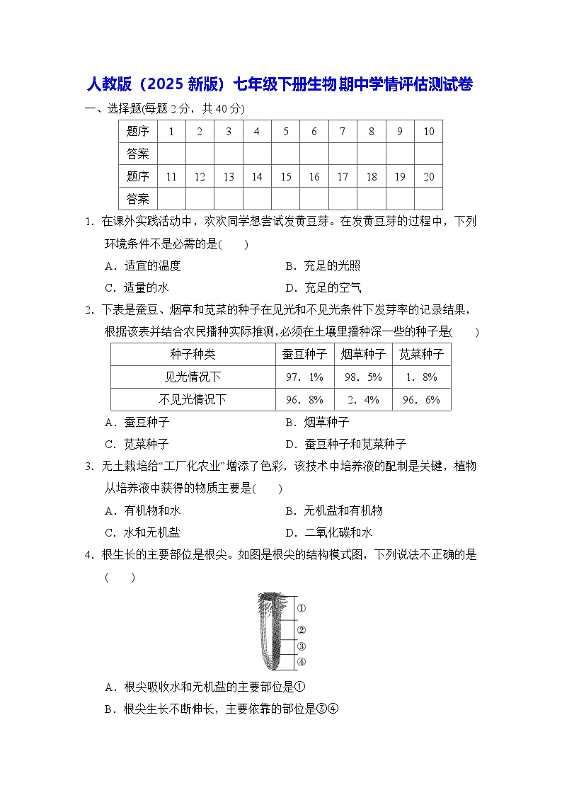 人教版（2025新版）七年级下册生物期中学情评估测试卷（含答案）