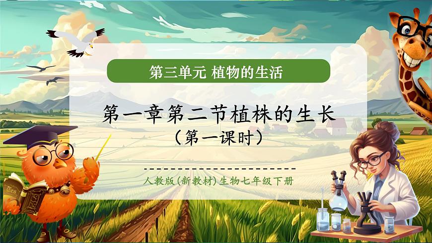 生物七下 3.1.2植株的生長(zhǎng)（第一課時(shí)）課件第1頁(yè)