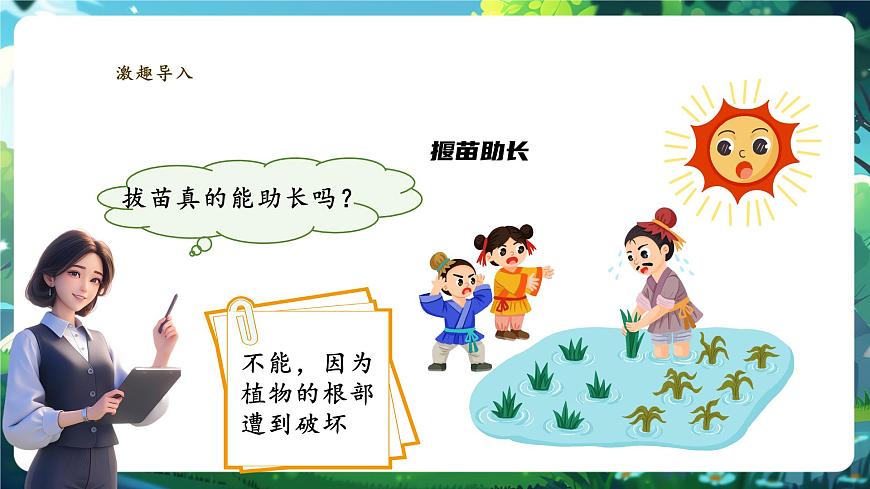 生物七下 3.1.2植株的生長(zhǎng)（第一課時(shí)）課件第3頁(yè)