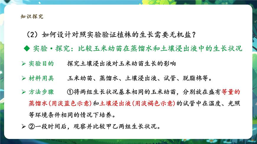 生物七下 3.1.2植株的生長（第二課時）課件第5頁