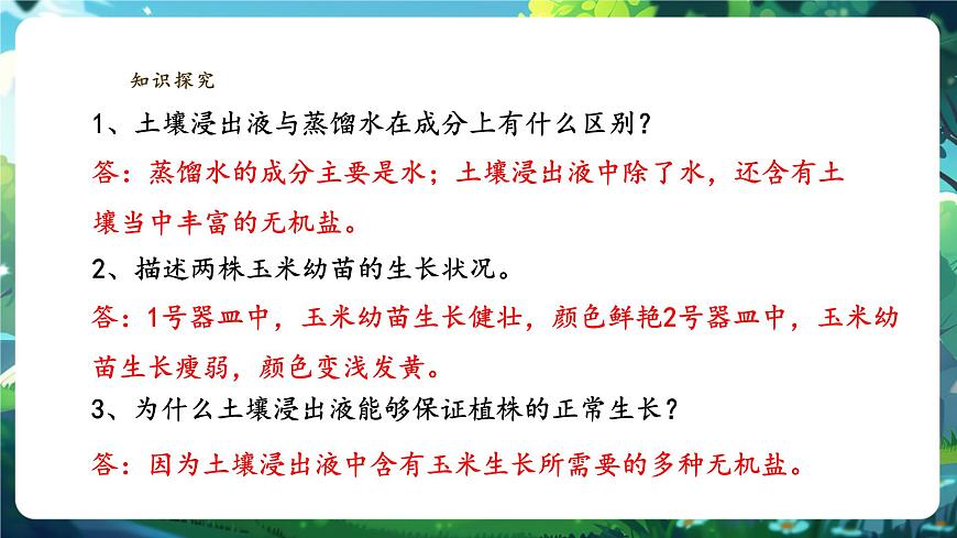 生物七下 3.1.2植株的生長（第二課時）課件第8頁