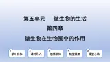 冀少版（2024）八年级生物上册5.4 微生物在生物圈中的作用课件