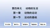 冀少版（2024）八年级生物上册4.1.1 运动的基础课件