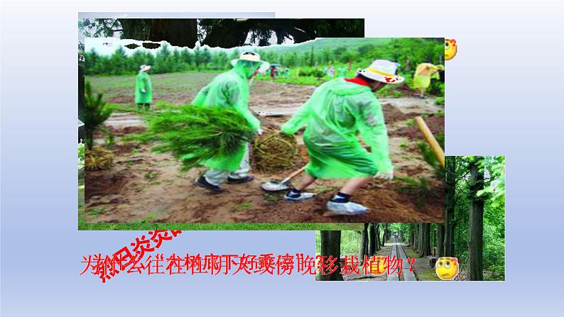 冀少版(2024)八年级生物上册3.4.2 蒸腾作用课件第3页