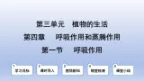 冀少版（2024）八年级生物上册3.4.1 呼吸作用课件