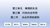 冀少版（2024）八年级生物上册3.3.2 光合作用的原料课件