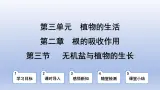 冀少版（2024）八年级生物上册3.2.3 无机盐与植物的生长课件