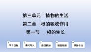 生物冀少版（2024）第一节  根的生长教学课件ppt