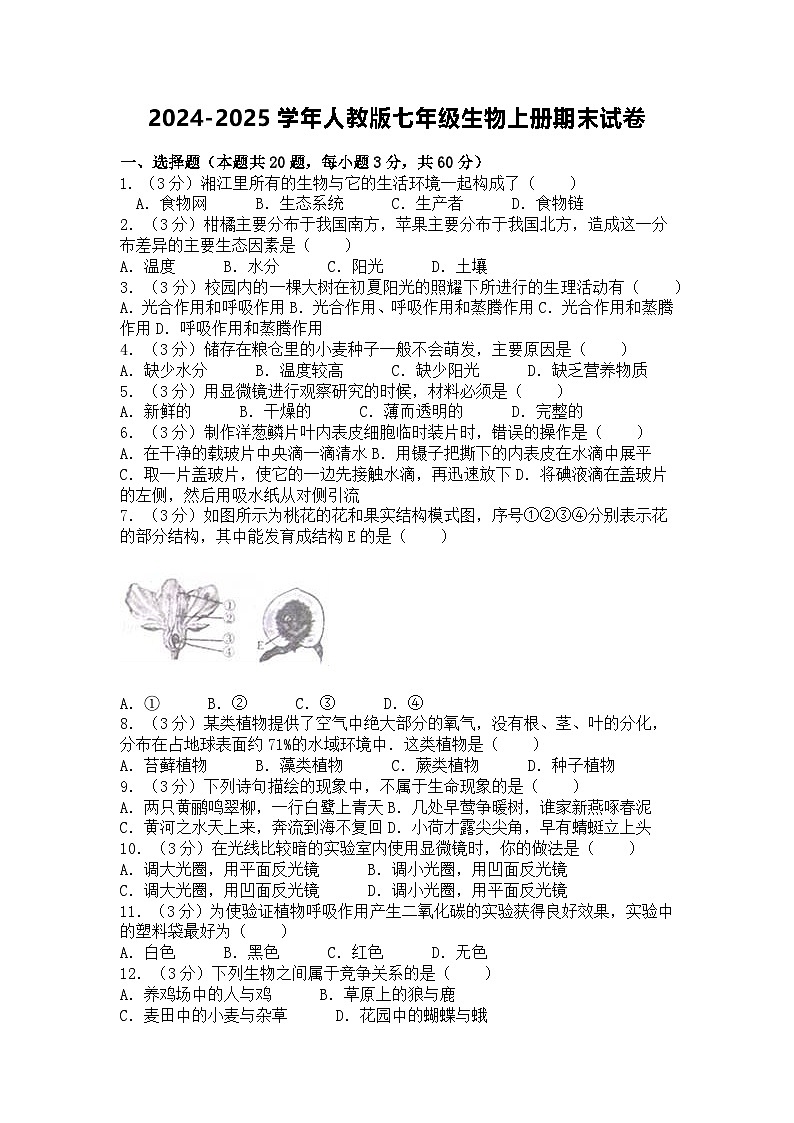 2024-2025学年人教版七年级生物上册期末试卷第1页