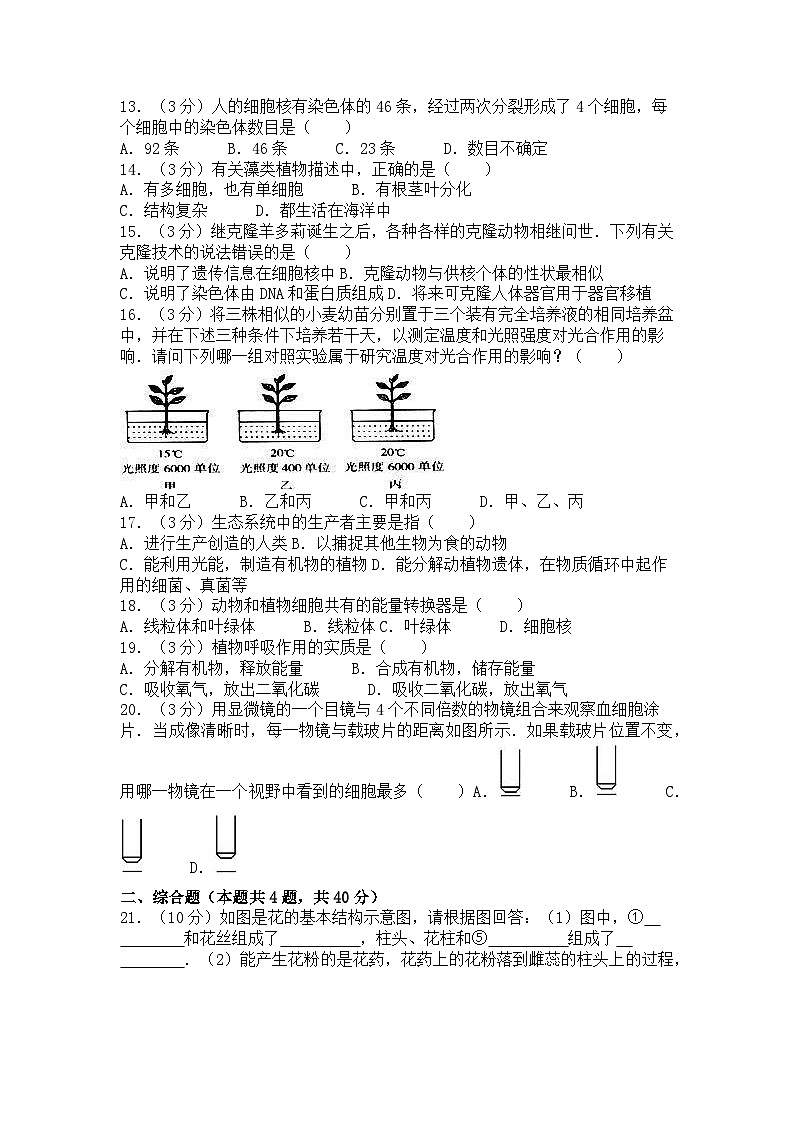 2024-2025学年人教版七年级生物上册期末试卷第2页