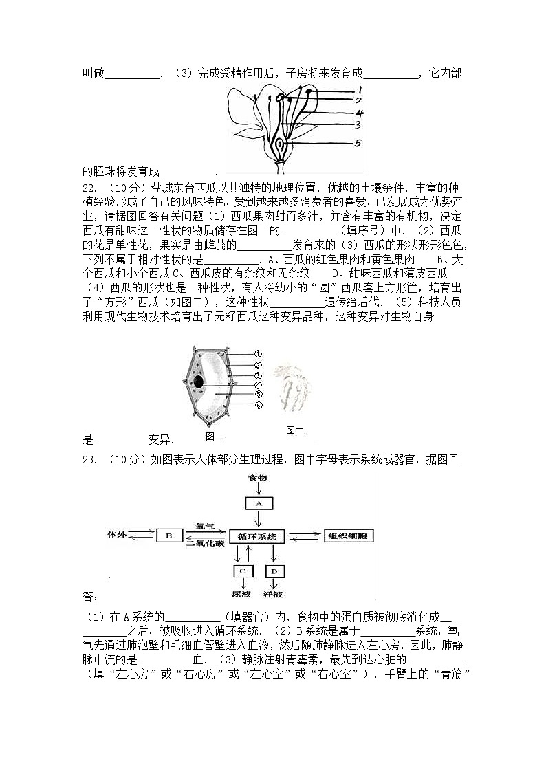 2024-2025学年人教版七年级生物上册期末试卷第3页