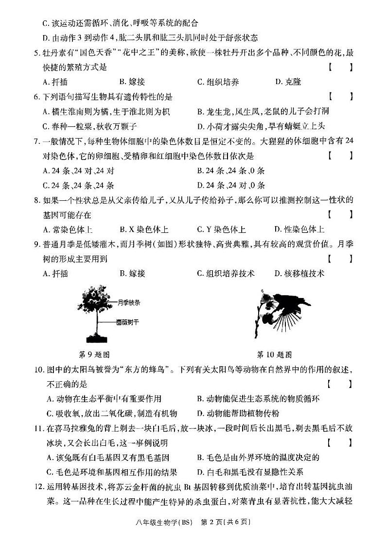 河南省驻马店市确山县部分初中期末联考2024-2025学年八年级上学期期末质量检测生物试卷第2页