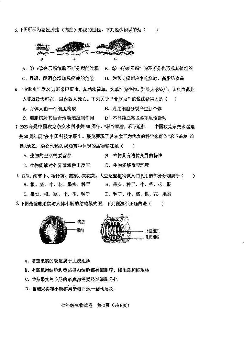 天津市河东区2024-2025学年七年级上学期期末考试生物试题第2页