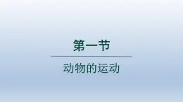 2024八年级生物上册第五单元生物圈中的其他生物第二章动物的运动和行为第一节动物的运动课件（人教版）