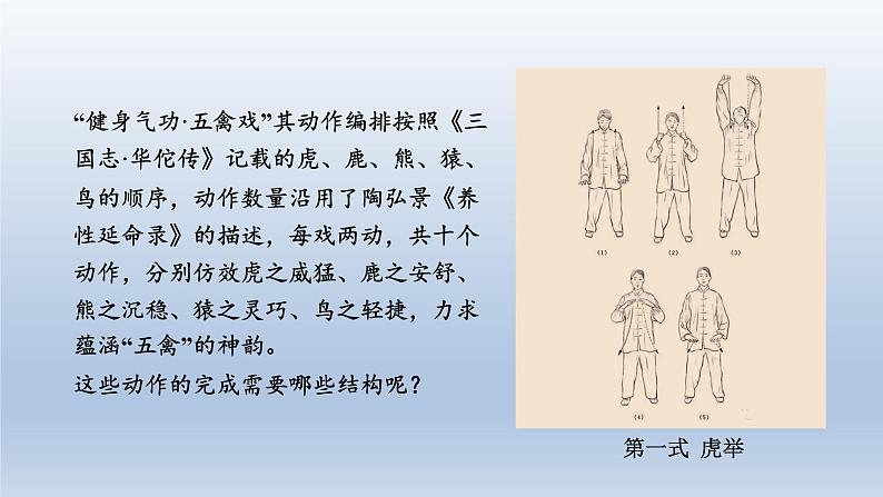 2024八年级生物上册第五单元生物圈中的其他生物第二章动物的运动和行为第一节动物的运动课件(人教版)第6页
