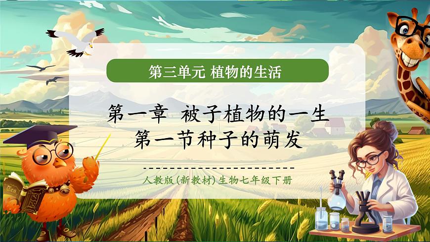 生物七下 3.1.1種子的萌發(fā)課件第1頁