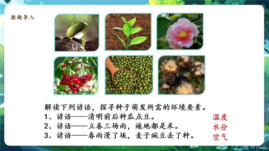生物七下 3.1.1種子的萌發(fā)課件第3頁