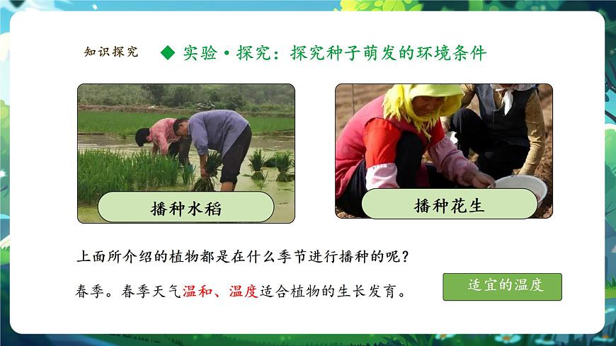 生物七下 3.1.1種子的萌發(fā)課件第5頁