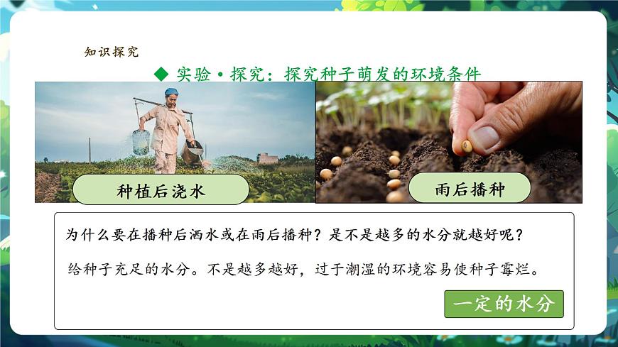 生物七下 3.1.1種子的萌發(fā)課件第6頁