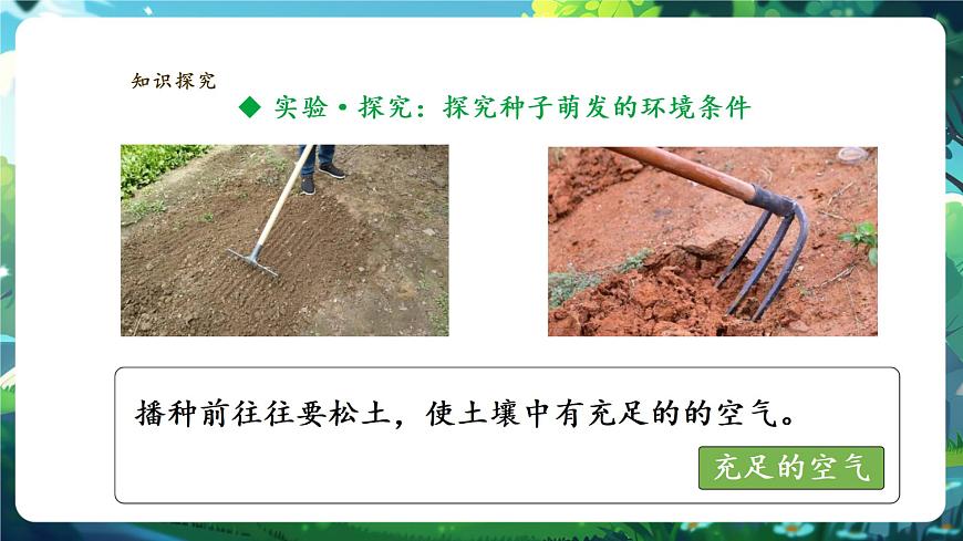 生物七下 3.1.1種子的萌發(fā)課件第7頁