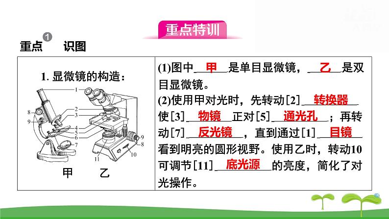 人教版(2024新版)七年级上册生物第一单元 第一、二章复习提升复习课件第5页