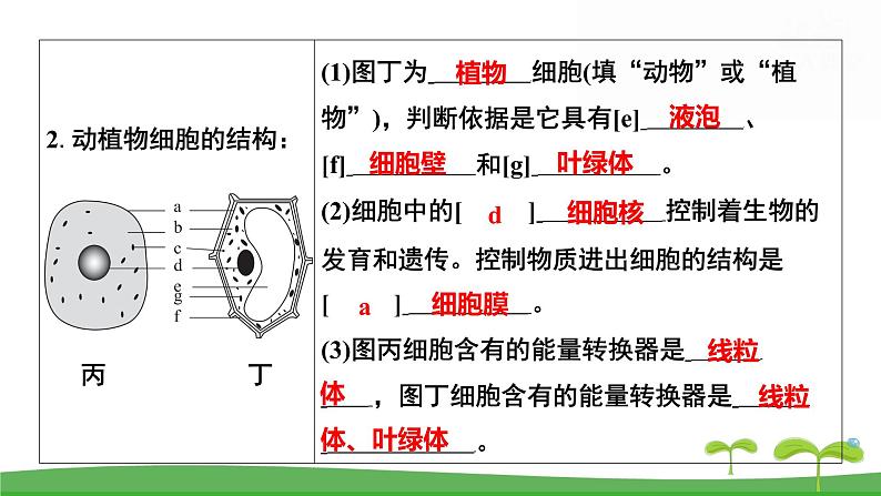人教版(2024新版)七年级上册生物第一单元 第一、二章复习提升复习课件第7页
