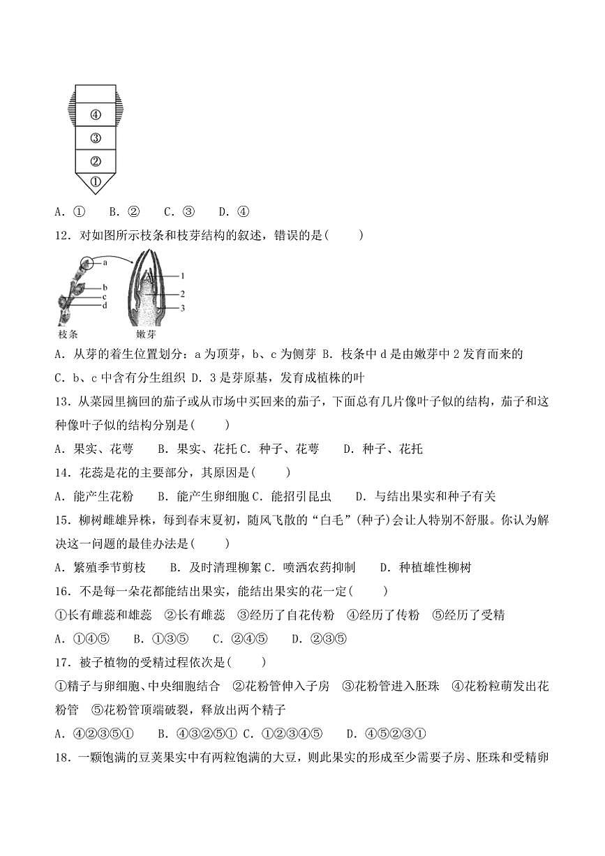 2024～2025學年貴州省黔東南苗族侗族自治州從江縣斗里中學12月考七年級上生物試卷(含答案)第3頁