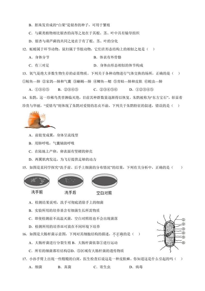 2024~2025学年河南省南阳市名校七年级上12月期末联考(月考)生物试卷第3页