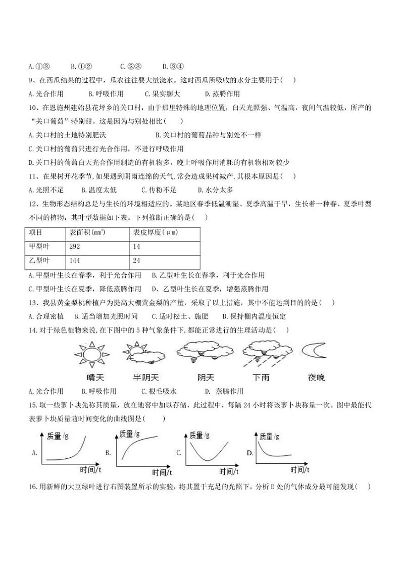 2024~2025学年湖北省恩施市崔坝中学七年级上生物12月卷卷试卷(含答案)第2页