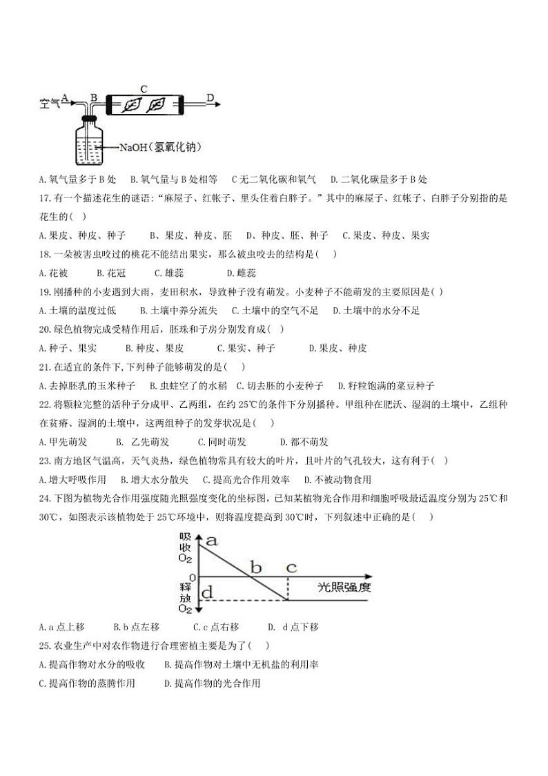 2024~2025学年湖北省恩施市崔坝中学七年级上生物12月卷卷试卷(含答案)第3页