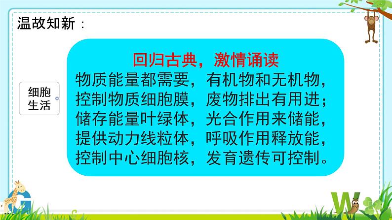 初中 生物 人教版(2024) 七年级上册(2024) 第一节 细胞通过分裂产生新细胞 课件第1页